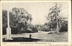 View of The Triangle Wortendyke, NJ Postcard Postcard Postcard