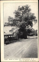 Road to Cedar Hill Wortendyke, NJ Postcard Postcard Postcard