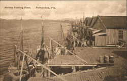 Shrimp Fishing Fleet Postcard