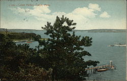 Cotuit Harbor Massachusetts Postcard Postcard Postcard