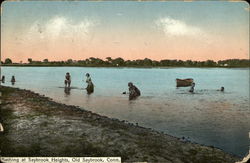 Bathing at Saybrook Heights Old Saybrook, CT Postcard Postcard Postcard