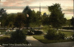 Normal School Grounds Postcard