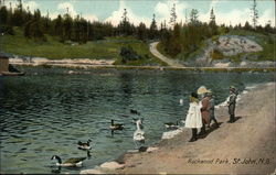 Children and Geese on the Shoreline at Rockwood Park Postcard