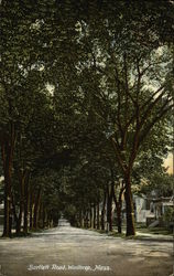 Tree Lined View of Bartlett Road Postcard