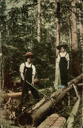 Women Clearing the Homestead for Father Postcard