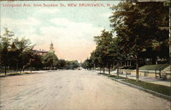 Livingston Avenue from Suydam Street New Brunswick, NJ Postcard Postcard Postcard