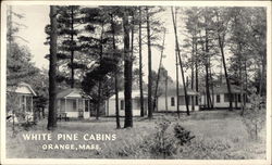 White Pine Cabins Orange, MA Postcard Postcard Postcard