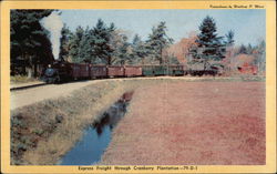 Express Freight through Cranberry Plantation-79-D-1 Trains, Railroad Postcard Postcard Postcard