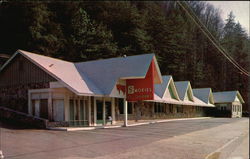 Smokies Restaurant - at the park entrance - Van Reagan, Owner Gatlinburg, TN Postcard Postcard Postcard