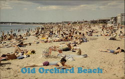 Crowds at the Beach Postcard