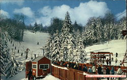 Entrance to one of the Lifts at the Bromley Mt Ski Area Postcard