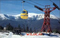 Wildcat Gondola and Mt. Washington Postcard