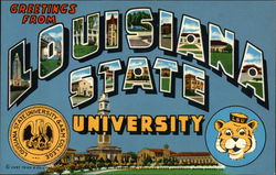 Greetings from Louisiana State University Postcard