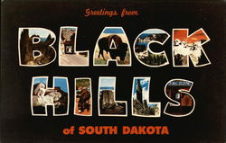 Greetings from Black Hills Postcard