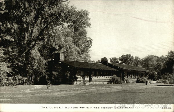 The Lodge - White Pines Forest State Park Mount Morris, IL Postcard