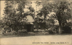 Orchard Tea Room on Long Island Postcard