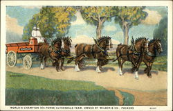 World's Champion Six-Horse Clydesdale Team - Owned by Wilson & Co. Packers Horses Postcard Postcard Postcard