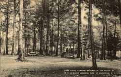 Campgrounds at Memorial Park Saint Johnsville, NY Postcard Postcard Postcard