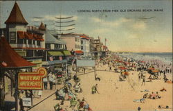 Looking North from Pier Postcard