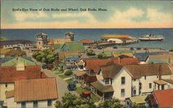 Bird's-Eye View of Oak Bluffs and Wharf Postcard