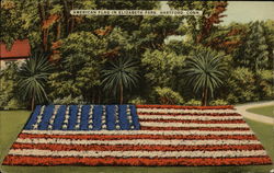 Floral American Flag in Elizabeth Park Hartford, CT Postcard Postcard Postcard