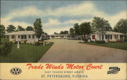 Trade Winds Motor Court St. Petersburg, FL Postcard Postcard Postcard