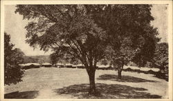 Looking across the Campus at "Sugar Camp" Postcard