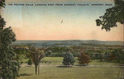 The Pelham Hills, looking East from Amherst College Postcard