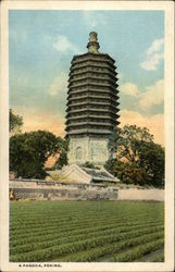 A Pagoda and Grounds Peking, China Postcard Postcard Postcard