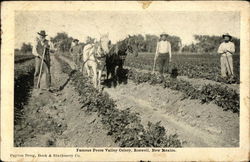 Famous Pecos Valley Celery Roswell, NM Postcard Postcard Postcard