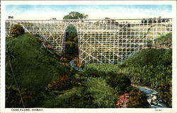 Cane Flume Hawaii Postcard Postcard Postcard