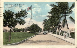 Palm Avenue, US Barracks Postcard