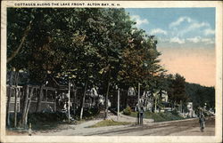 Cottages along the Lake Front Alton Bay, NH Postcard Postcard Postcard