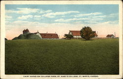 Dairy Barns on College Farm, St Mary's College Postcard