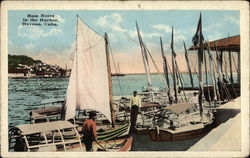 Bum Boats in the Harbor Postcard