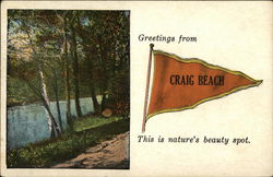 Greetings from Craig Beach Ohio Postcard Postcard Postcard