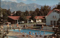 Utah Motor Park - Outdoor Pool Postcard