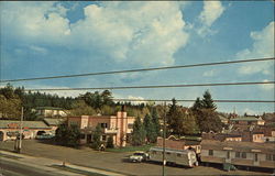 Mountain View Auto Court and Trailer Park Postcard