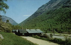 Vew of Crawford Notch Postcard