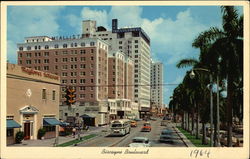 Beautiful Biscayne Boulevard looking North towards famous Hotel Row Miami, FL Postcard Postcard Postcard