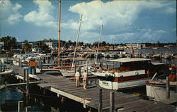 World Famous Yacht Basin in Coconut Grove Miami, FL Postcard Postcard Postcard