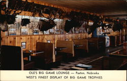 Ole's Big Game Lounge Paxton, NE Postcard Postcard Postcard