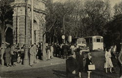 Buenos Aries Zoological Garden Postcard