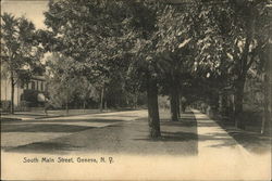 Tree Lines View of South Main Street Geneva, NY Postcard Postcard Postcard