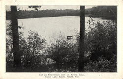 Not an Uncommon View on Round Lake, Mason Lake Resort Postcard