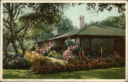 A Typical California Bungalow Postcard Postcard Postcard