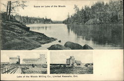 Scene on Lake of the Woods Postcard