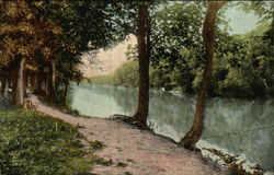 Along the Banks of the Red River Postcard