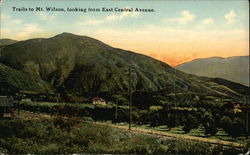 Trails to Mt. Wilson, looking from East Central Avenue Los Angeles, CA Postcard Postcard Postcard