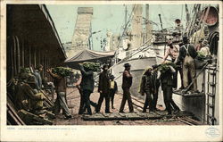 Unloading a Banana Steamer Postcard